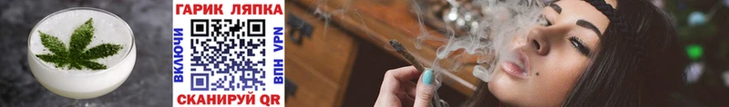 дарк нет Telegram  Котельники  Cannafood конопля 