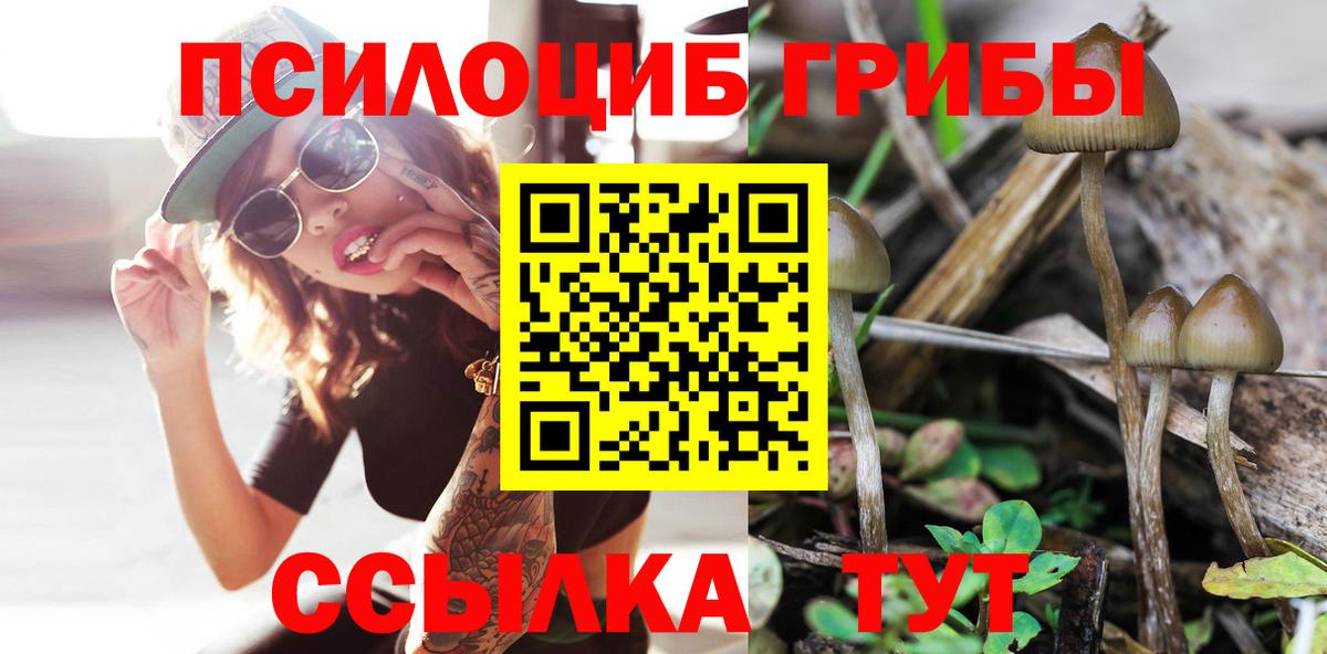 Галлюциногенные грибы мицелий  Вход с VPN  закладка  Котельники 