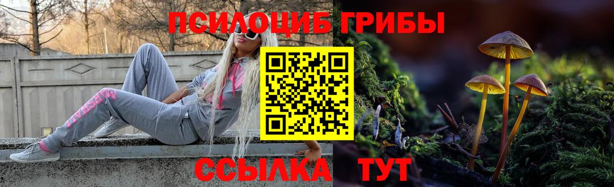 Псилоцибиновые грибы GOLDEN TEACHER Котельники